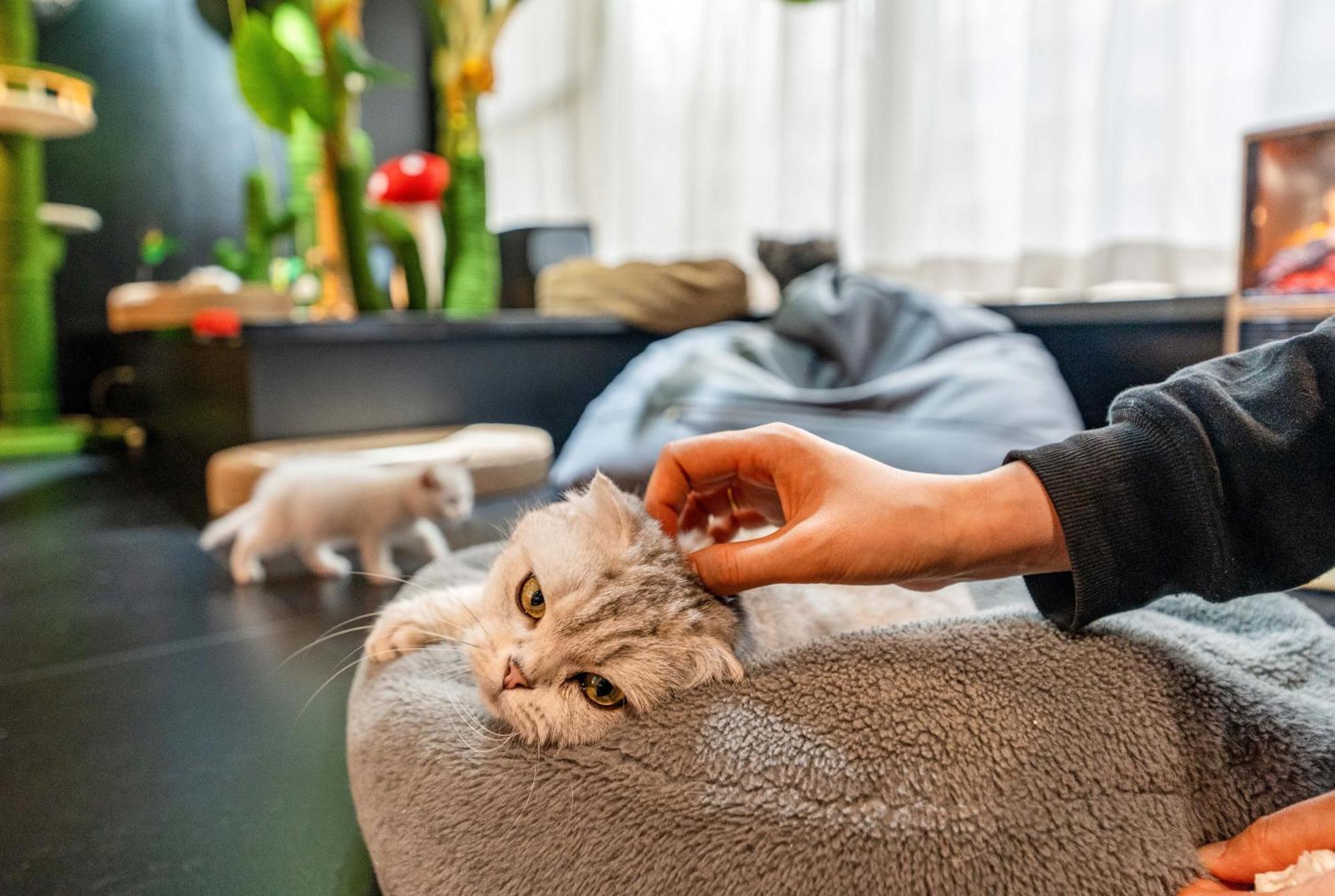 Hesu Designer Hotel & Suites -Near Xi'An Drum Tower And Yongning Gate -Free Laundry Luggage Storage -Kitty Cafe With Freshly Ground Coffee -24H Front Desk -English Service Bagian luar foto